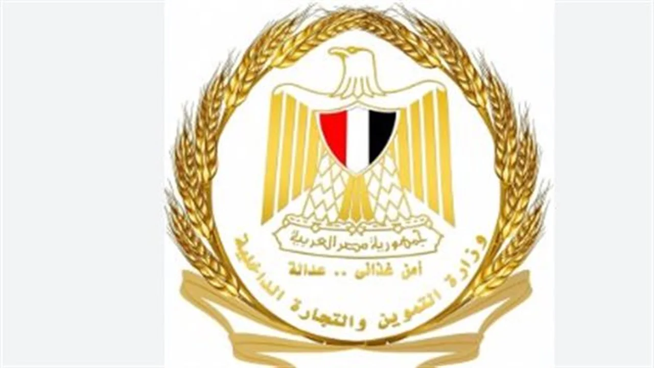 تحول جديد.. آليات الدعم النقدي في المنظومة الحديثة